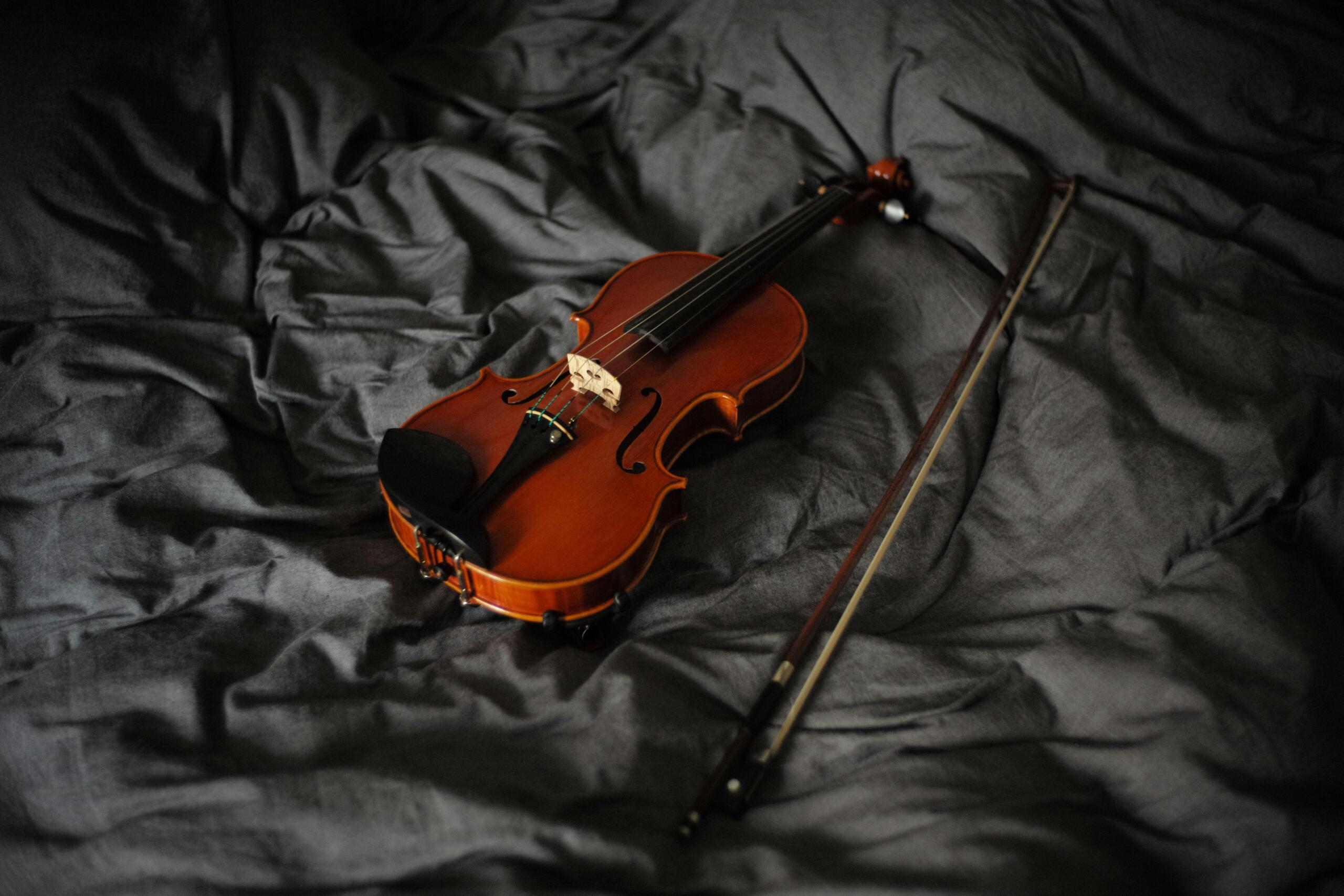 Violino